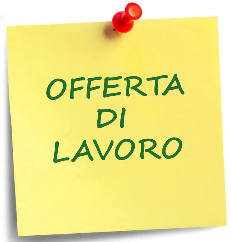 Ricerca Collaboratori vari profili