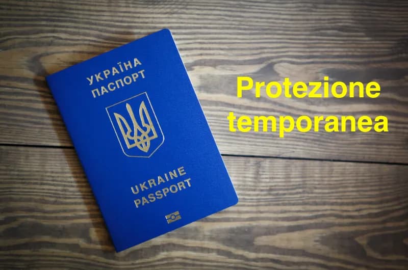 Il ruolo delle corti nazionali nell'interpretazione della protezione temporanea