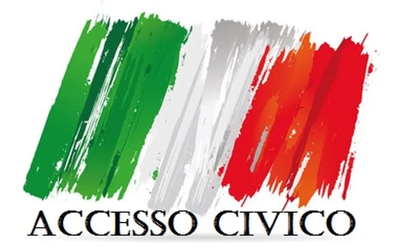 Sentenza del TAR Veneto sull'Accesso Civico ai Dati sull'Immigrazione